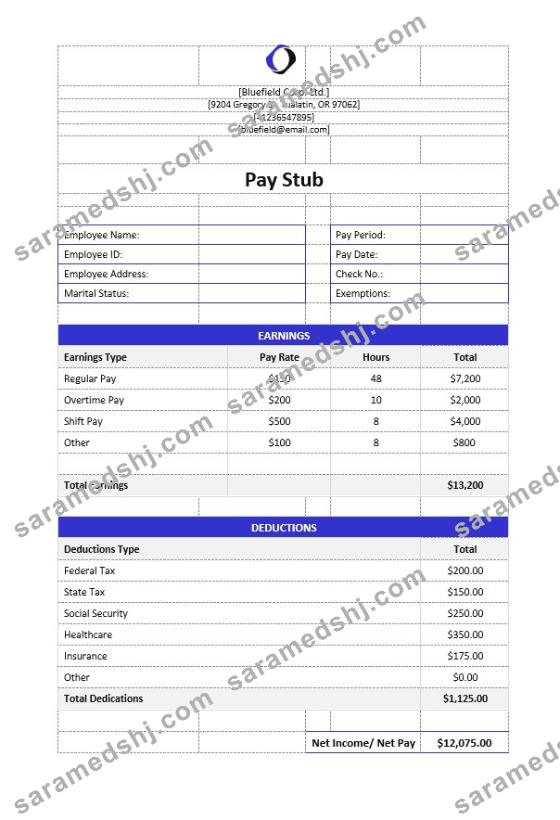 Bluefield Corp. Ltd pay stub Word and PDF template